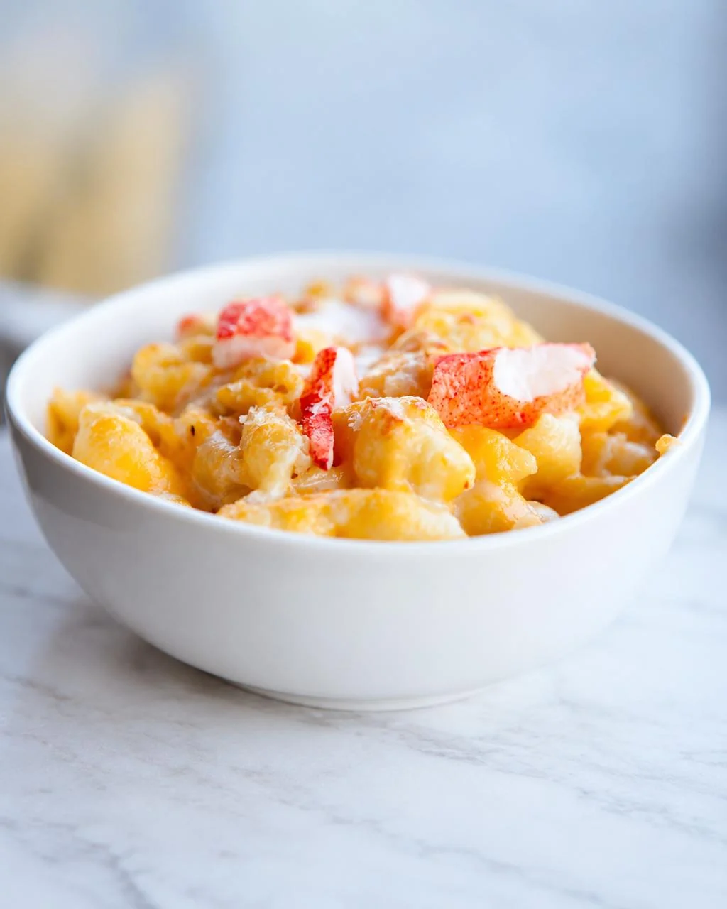 Lobster Mac n' Cheese: a white bowl of clam shell pasta in cheddar and jack cheese sauce topped with lobster